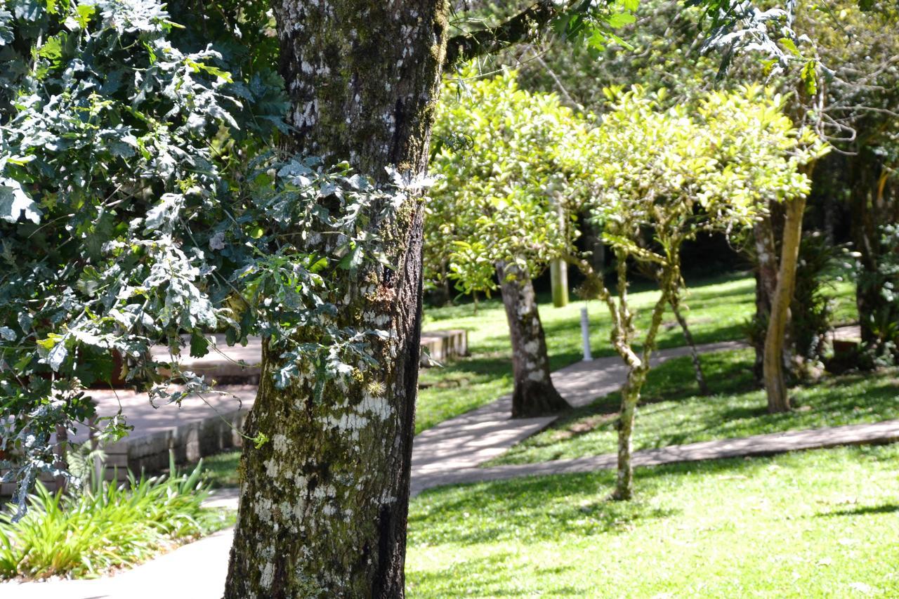 Hotel Pousada Dos Pinheiros Канела Экстерьер фото