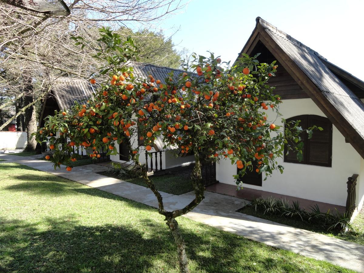 Hotel Pousada Dos Pinheiros Канела Экстерьер фото